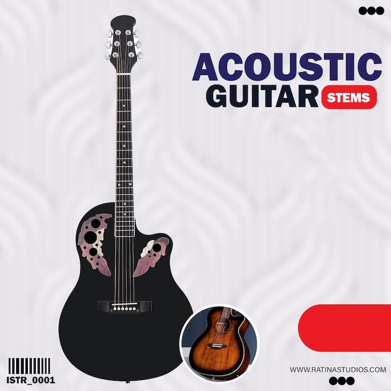 Acoustic Guitar